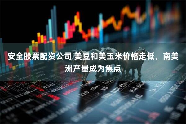 安全股票配资公司 美豆和美玉米价格走低，南美洲产量成为焦点