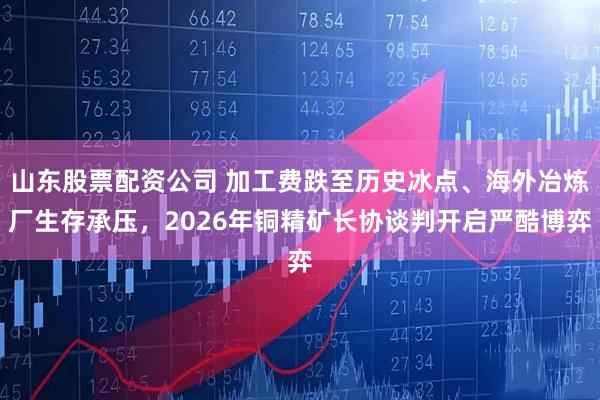 山东股票配资公司 加工费跌至历史冰点、海外冶炼厂生存承压，2026年铜精矿长协谈判开启严酷博弈