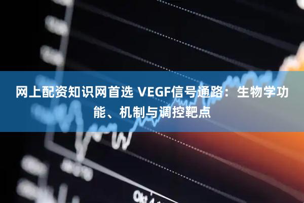 网上配资知识网首选 VEGF信号通路：生物学功能、机制与调控靶点