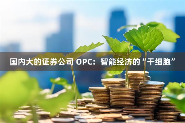 国内大的证券公司 OPC：智能经济的“干细胞”